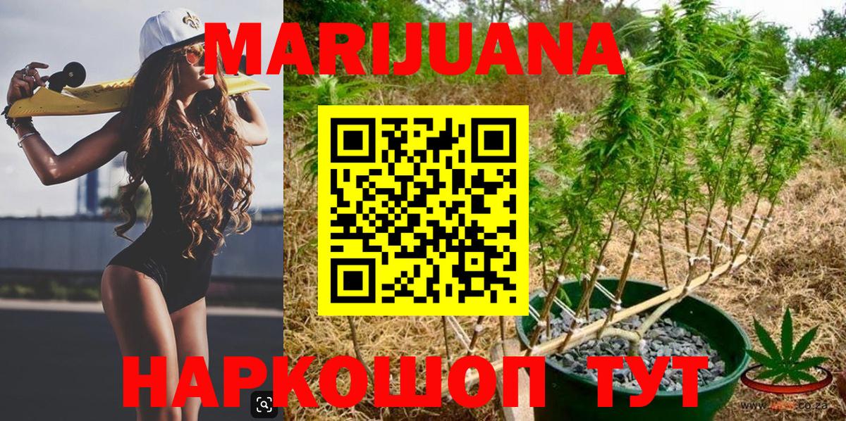Каннабис план  Каннабис Ganja  Вход с VPN  Бошки марихуана Bruce Banner  Лангепас 